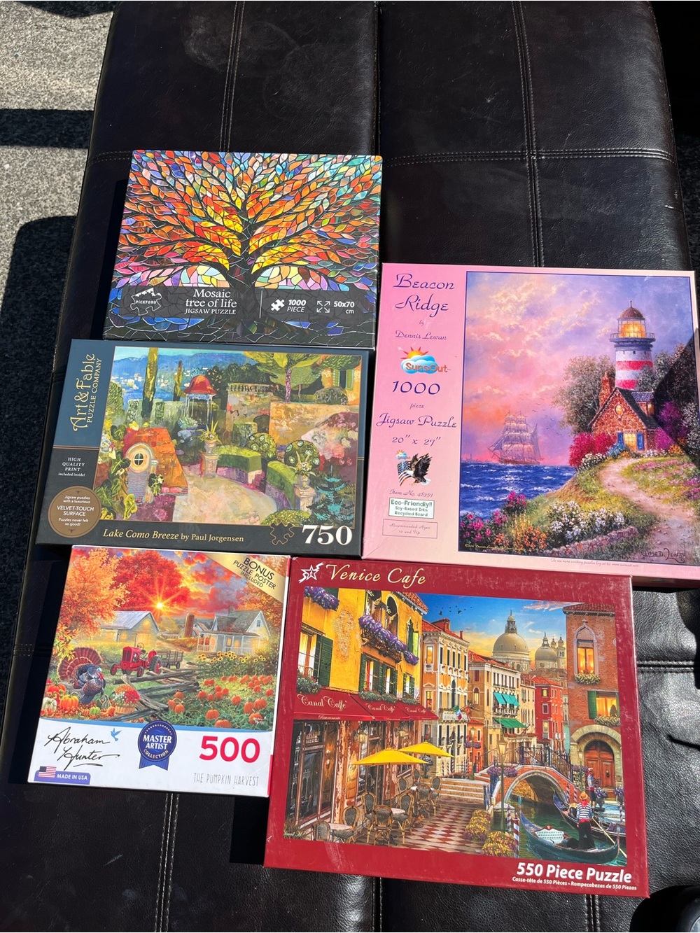 6 Assorted Scenic Jigsaw Puzzle Bundle & Magnetic Playing Cards